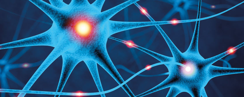 Ziel des FTN ist es, physiologische und pathophysiologische Mechanismen bei der Anpassung und Homöostase des Nervensystems zu klären und die Ergebnisse in klinisches Handeln umzusetzen